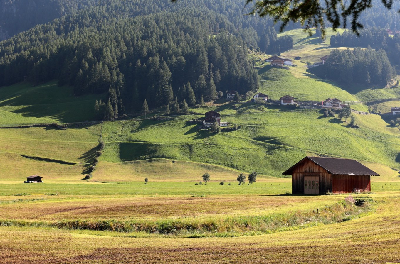 alpi-sul-confine-austriaco_117